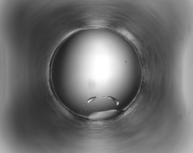 X0000089761431200706211535