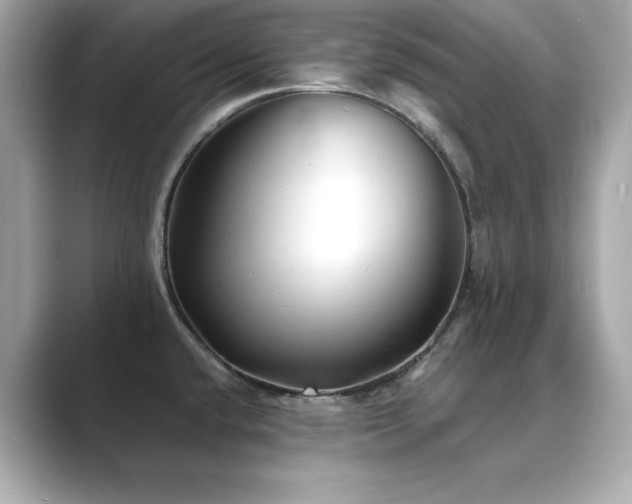 X0000089761432200706211535