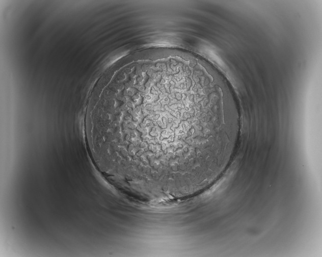X0000089761433200706211535