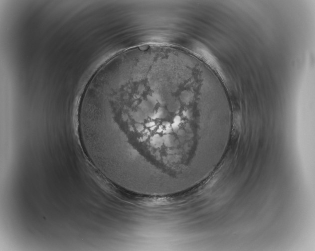 X0000089761435200706211535