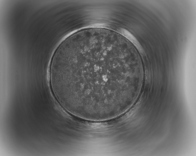 X0000089761436200706211535