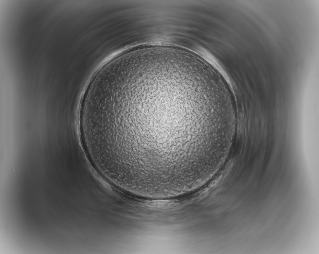 X0000089761437200706211535