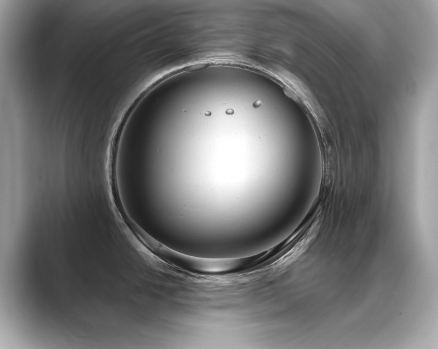 X0000089761438200706211535