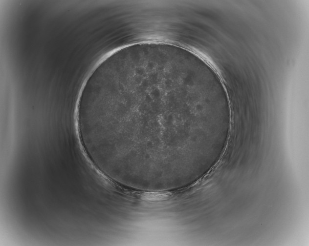 X0000089761440200706211535