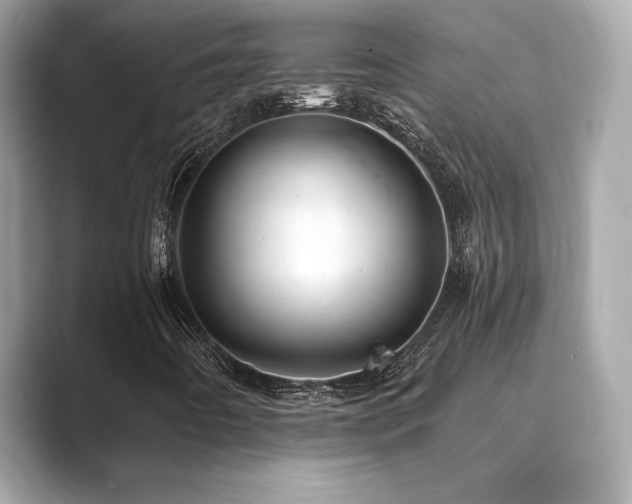 X0000089761442200706211535