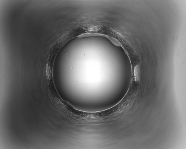 X0000089761443200706211535