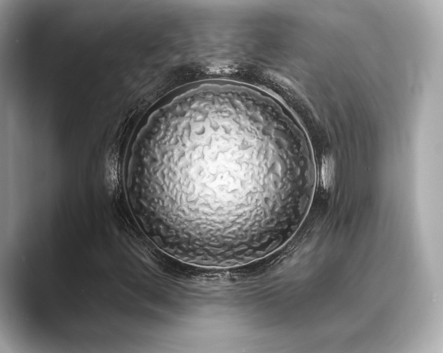 X0000089761444200706211535