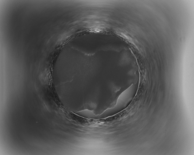 X0000089761446200706211535