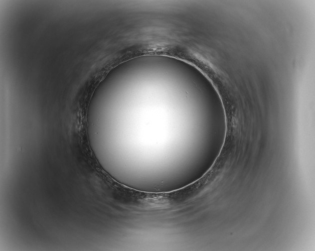 X0000089761447200706211535