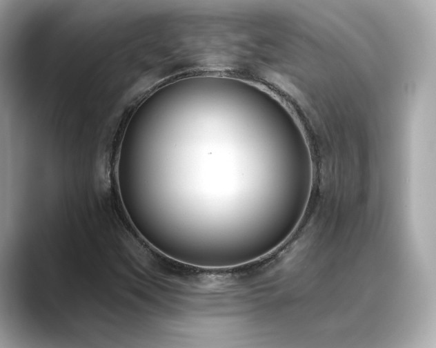 X0000089761451200706211535