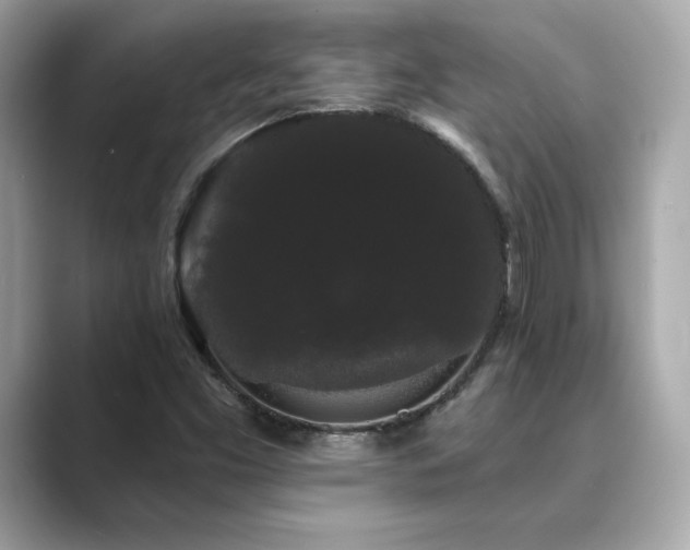 X0000089761453200706211535