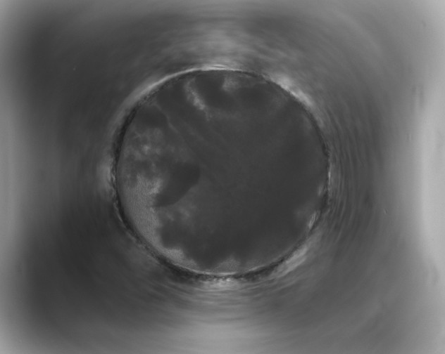 X0000089761454200706211535
