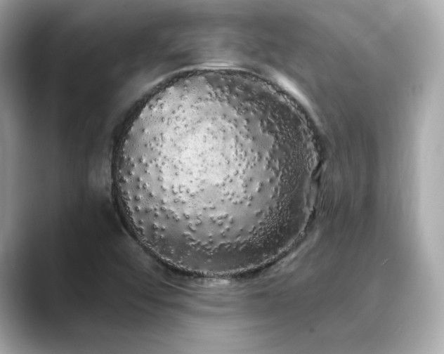 X0000089761456200706211535