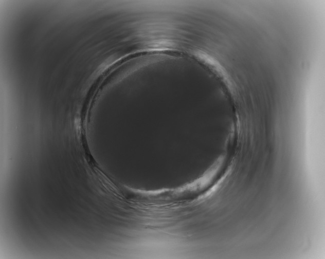 X0000089761457200706211535