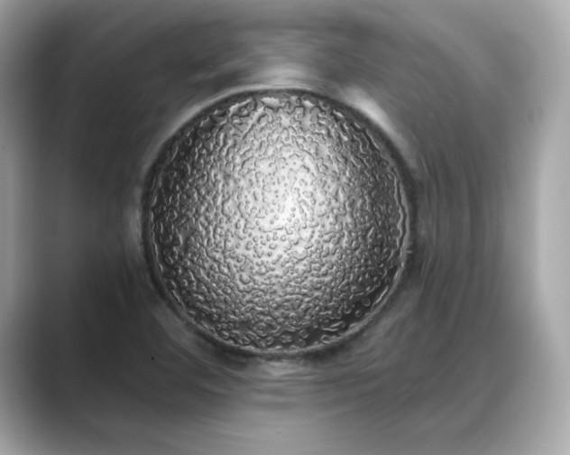 X0000089761460200706211535