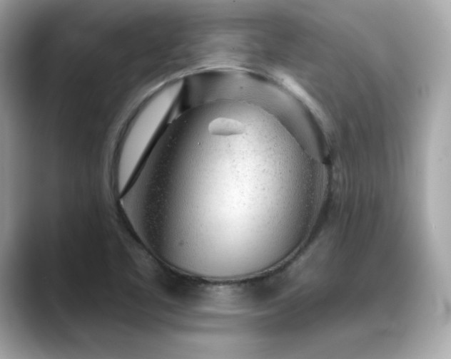 X0000089761461200706211535