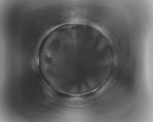 X0000089761462200706211535