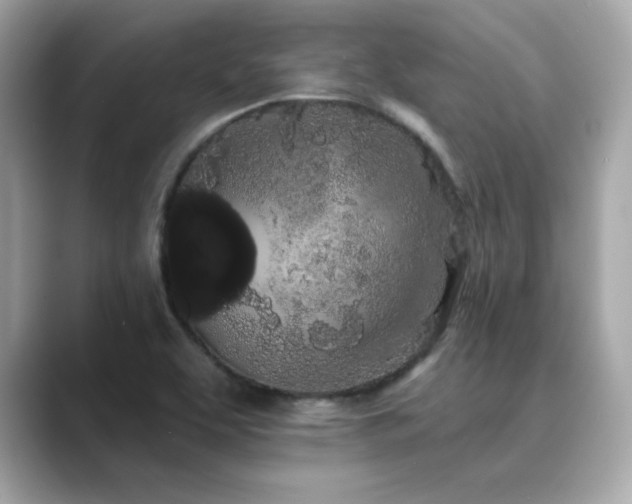 X0000089761463200706211535