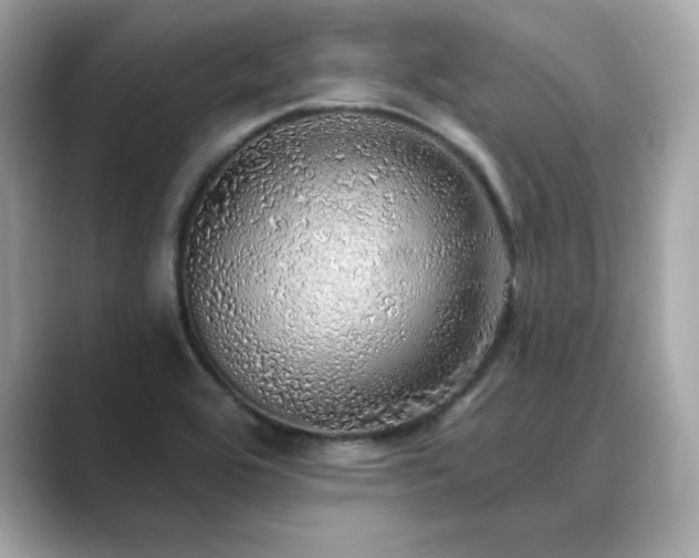 X0000089761464200706211535