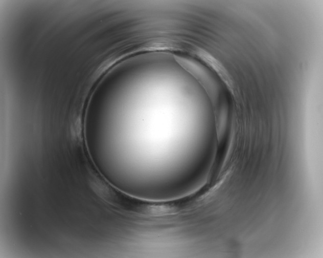 X0000089761465200706211535