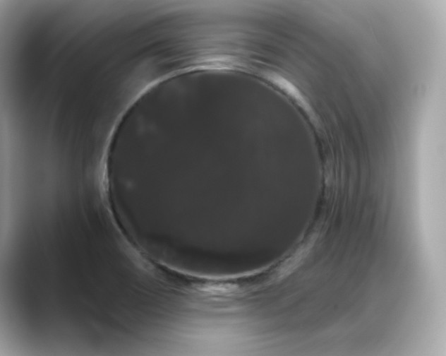 X0000089761466200706211535