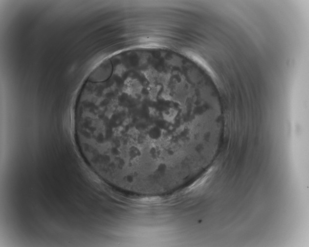 X0000089761467200706211535