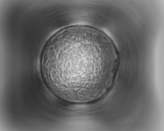 X0000089761468200706211535