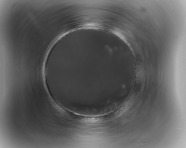 X0000089761474200706211535