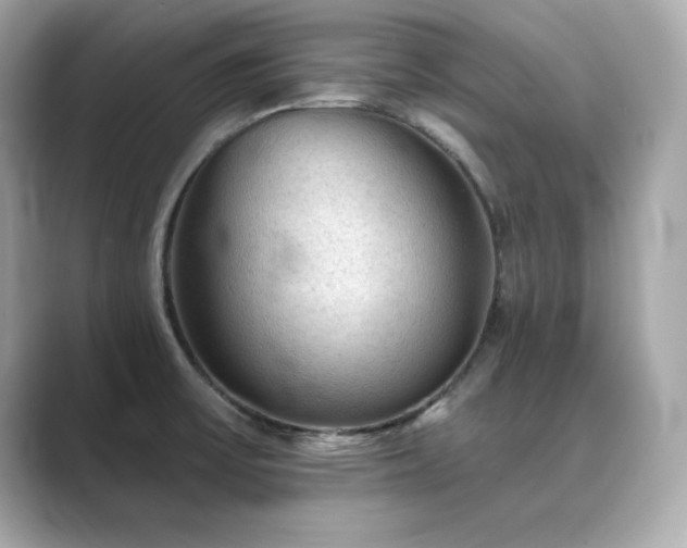 X0000089761475200706211535