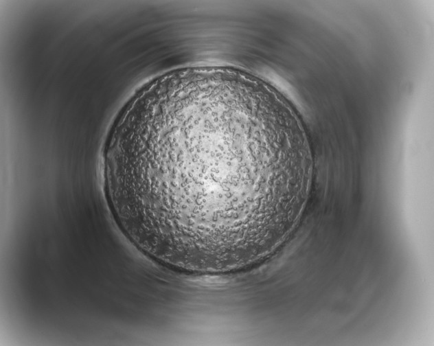 X0000089761476200706211535