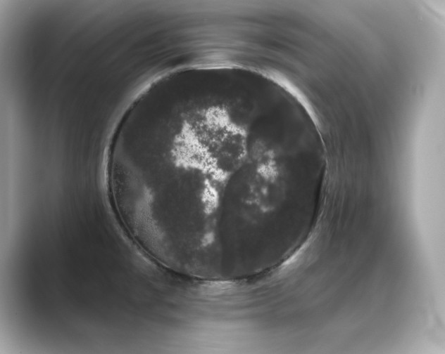 X0000089761477200706211534