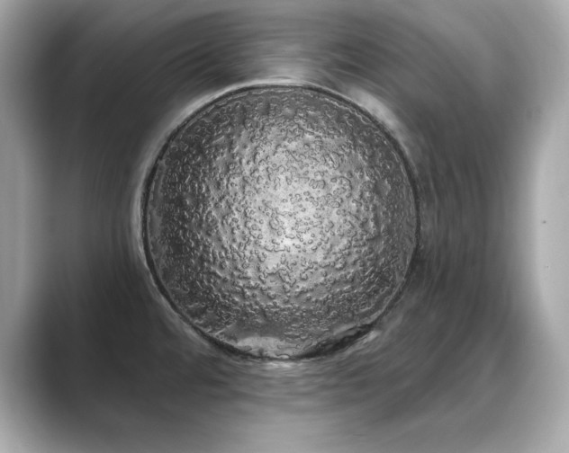 X0000089761480200706211534