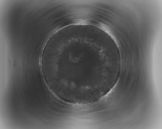 X0000089761481200706211534