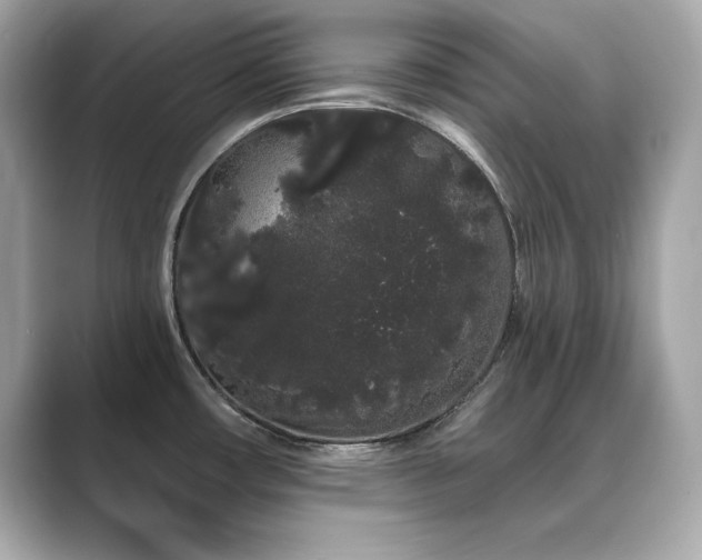 X0000089761482200706211534