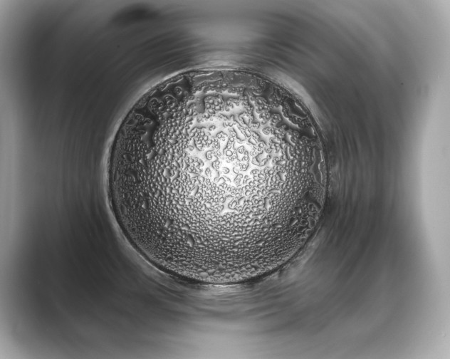X0000089761483200706211534