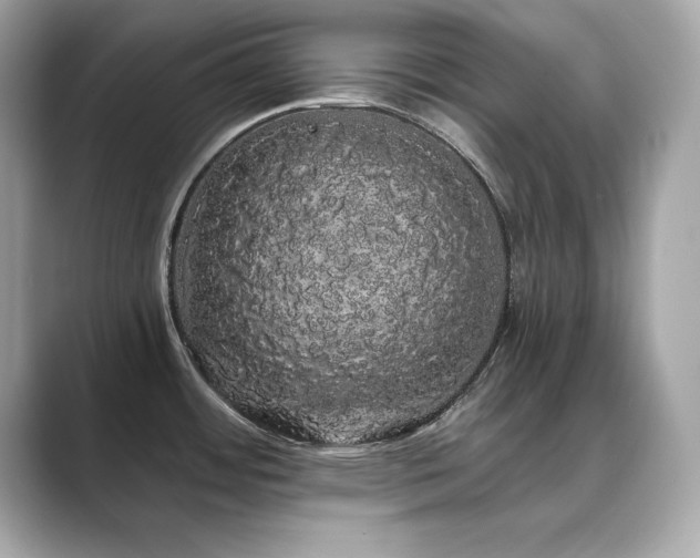 X0000089761484200706211534