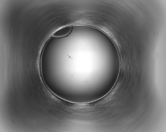 X0000089761486200706211534