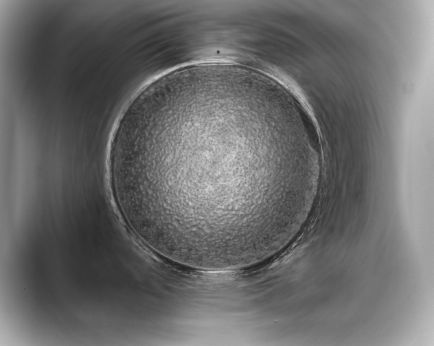 X0000089761488200706211534