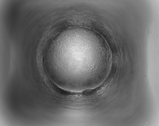 X0000089761489200706211534