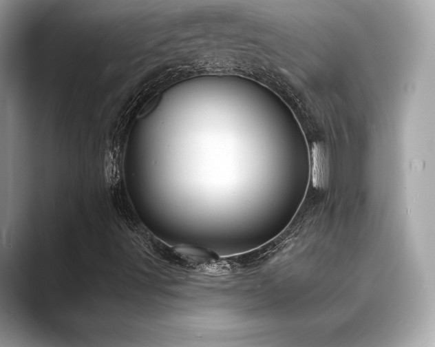 X0000089761491200706211534