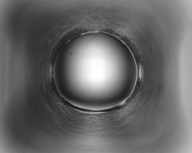 X0000089761492200706211534