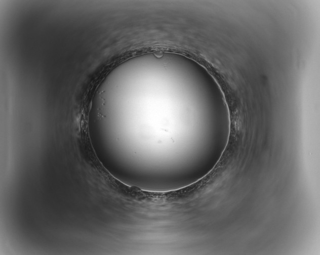 X0000089761495200706211534