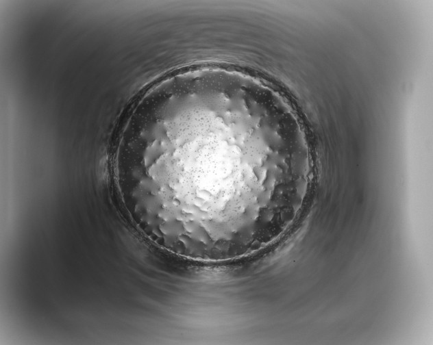 X0000089761497200706211534