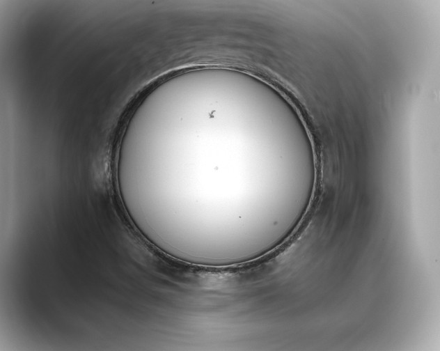 X0000089761498200706211534