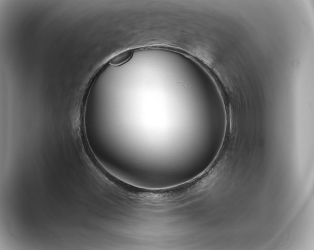 X0000089761500200706211534