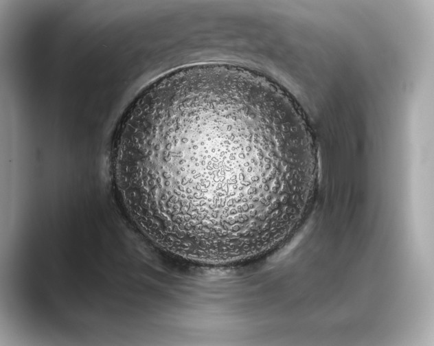 X0000089761501200706211534