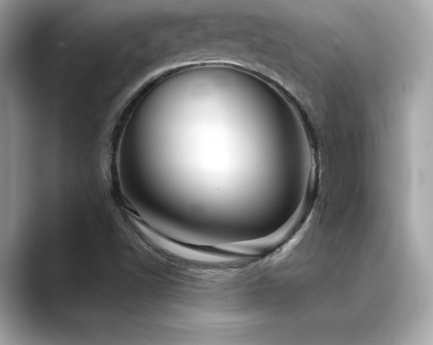 X0000089761502200706211534