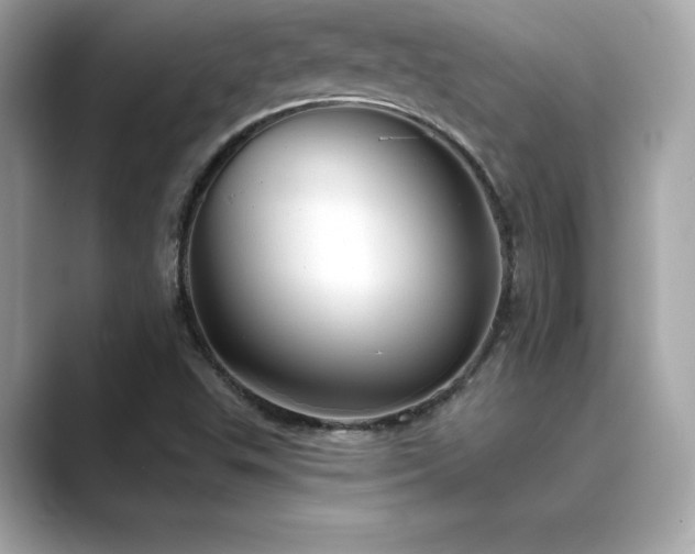 X0000089761503200706211534