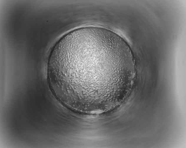 X0000089761504200706211534