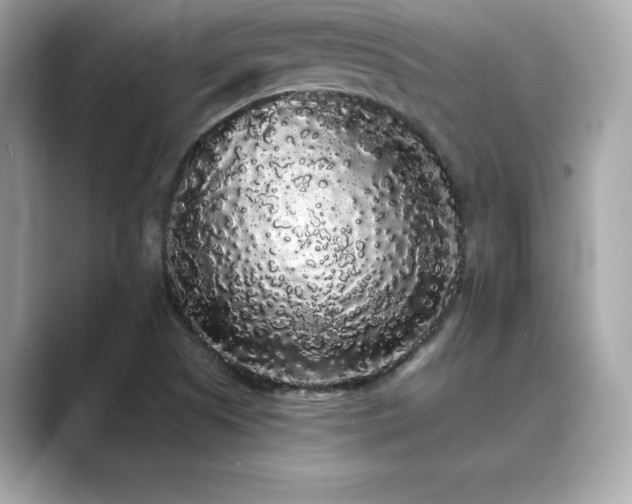 X0000089761505200706211534